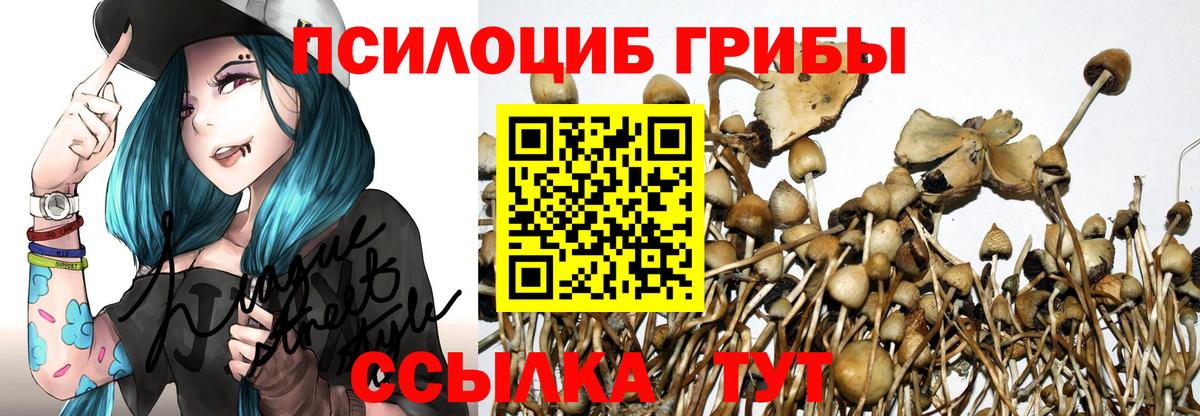Галлюциногенные грибы прущие грибы Домодедово