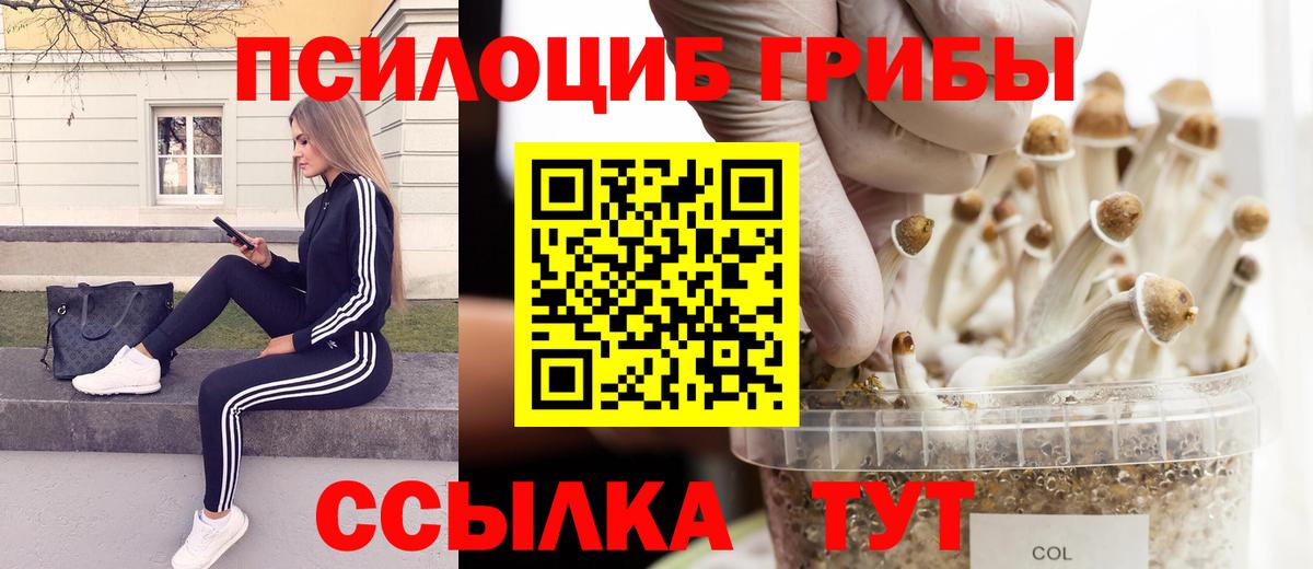 Галлюциногенные грибы MAGIC MUSHROOMS  что такое   Галлюциногенные грибы Psilocybe  Домодедово  Вход с VPN 